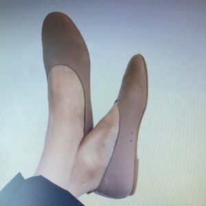 Everlane Ballet Flats